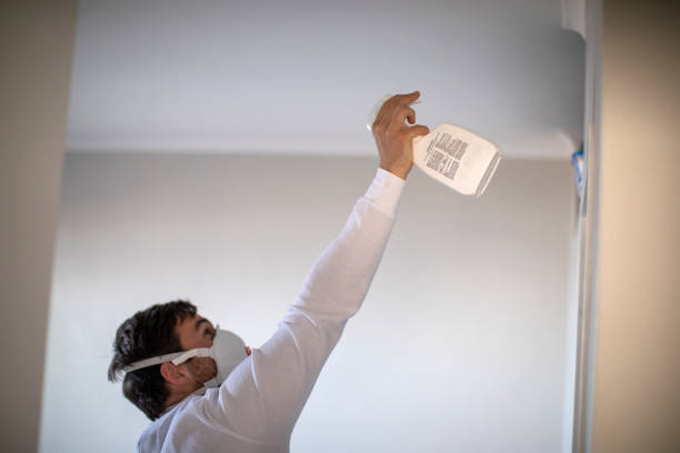 Continental, OH Mold Removal Company